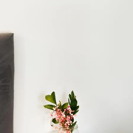 Kates Lägenhet Kávos